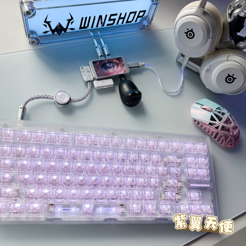 WINSHOP Esports HUB Dual-In 4- - đánh giá và giá Desk Setup Hub